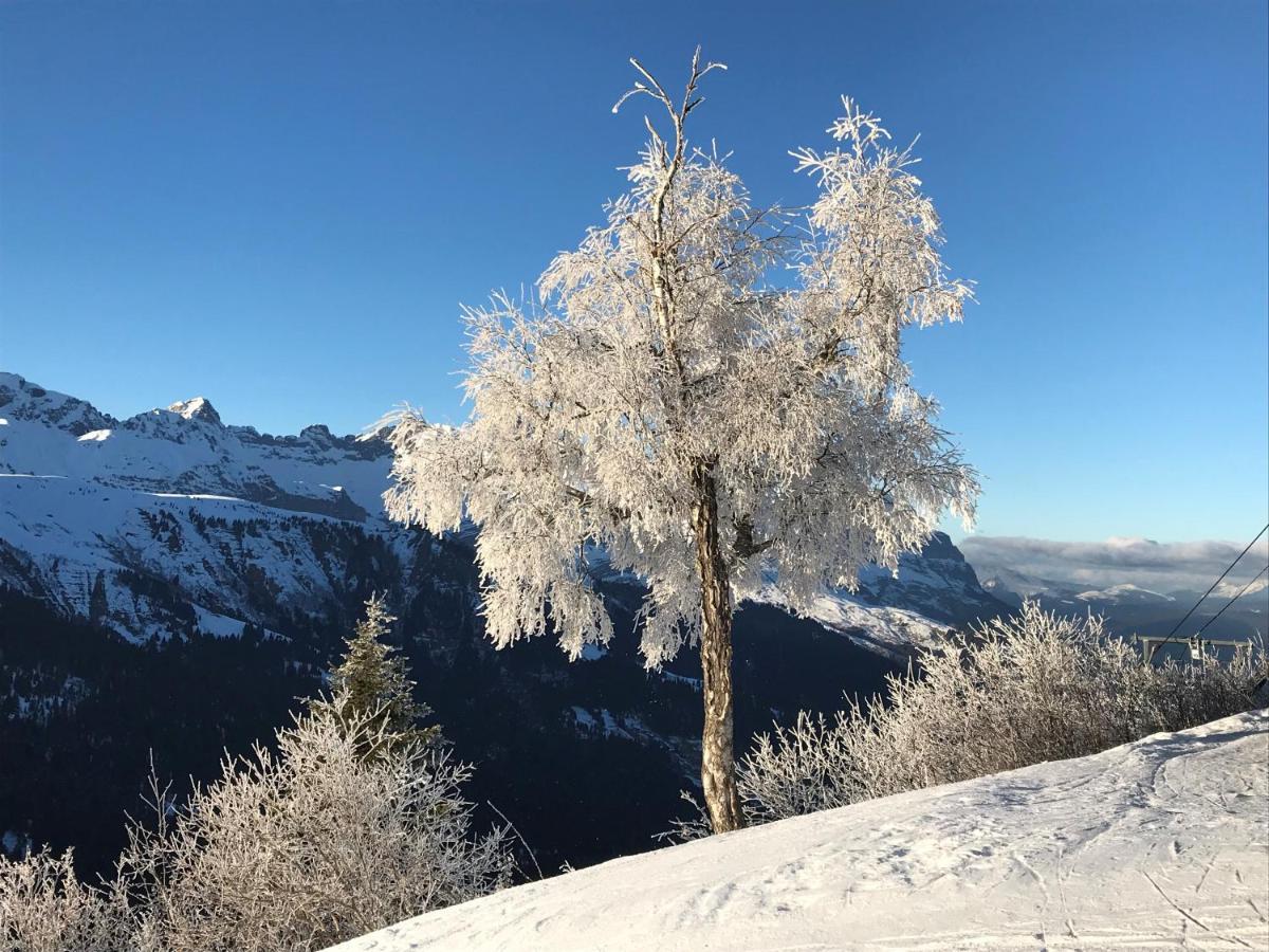 Luxury 2 Bedroom Apartment With View Of Mont Blanc Combloux Exterior photo